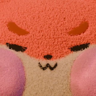 Close-up of Kitu's face, with fur 