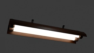 Neon fixture
